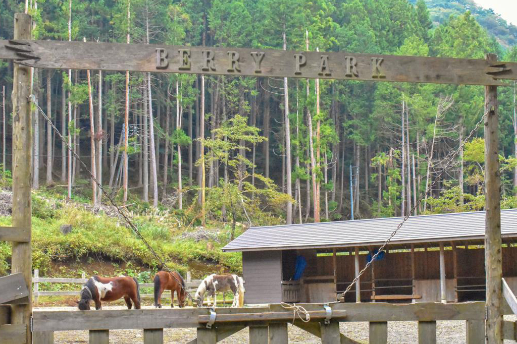 BerryPark in FISH ON！鹿留 都留市 キャンプ BBQ 3