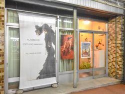 Estudio Amparo 保坂フラメンコ教室 富士吉田市 遊ぶ学ぶ 1
