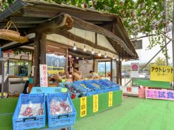早川農園 甲州市 遊ぶ学ぶ 2
