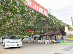 早川農園