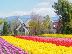 ハーブ庭園 旅日記 勝沼庭園 甲州市 温泉 スパ 2