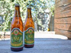 大和葡萄酒株式会社 HUGGY WINE 甲州市 ワイナリー 工場 5