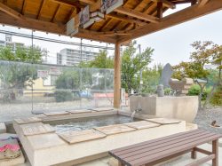 いさわ源泉足湯ひろば 笛吹市 温泉 スパ 2