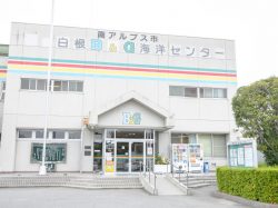 白根B&G海洋センター（指定管理者㈱フィッツ）