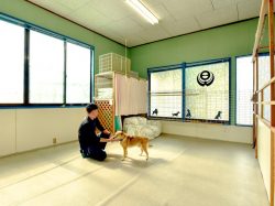 エアロシティー 甲斐市 ペット ペットホテル 2