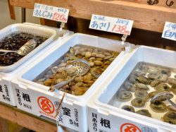 栄正水産 富士吉田店 富士吉田市 フード/ドリンク 2