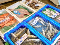 栄正水産 富士吉田店 富士吉田市 フード/ドリンク 3
