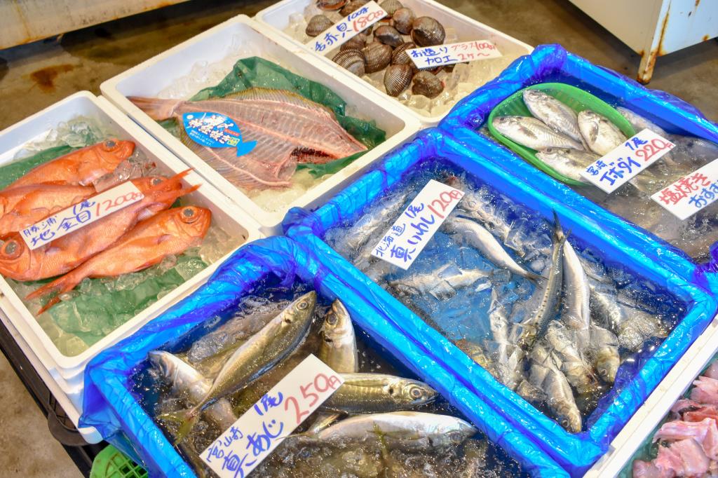 栄正水産 富士吉田店 富士吉田市 フード/ドリンク 3