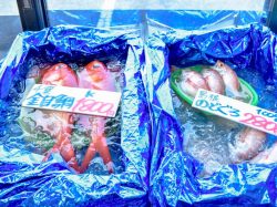 栄正水産 富士河口湖町 フード/ドリンク 4