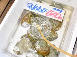 栄正水産 富士河口湖町 フード/ドリンク 5