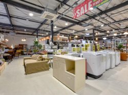 Free Green 向町店 骨董/アンティーク 2