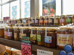 JAフルーツ山梨 フルーツ直売所 勝沼店 甲州市 ショップ 5