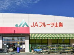 JAフルーツ山梨 フルーツ直売所 八幡店