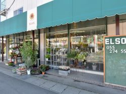 花工房エルソル医大前店