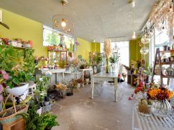 花工房エルソル医大店 中央市 花/ガーデニング 2