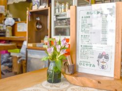 ひとやすみ 山梨市 雑貨/インテリア 3