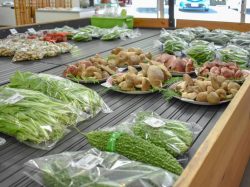 上九ふれあい農産物直売所 甲府市 ショップ 3