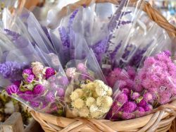清春アンデルセン 北杜市 花屋 雑貨 3