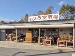 パノラマ市場