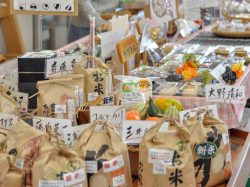 パノラマ市場 北杜市 お土産/直売所 2