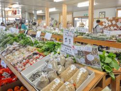 パノラマ市場 北杜市 お土産/直売所 3