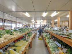 パノラマ市場 北杜市 お土産/直売所 4