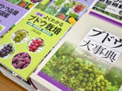 天真堂書店 塩山店 甲州市 ショップ 2