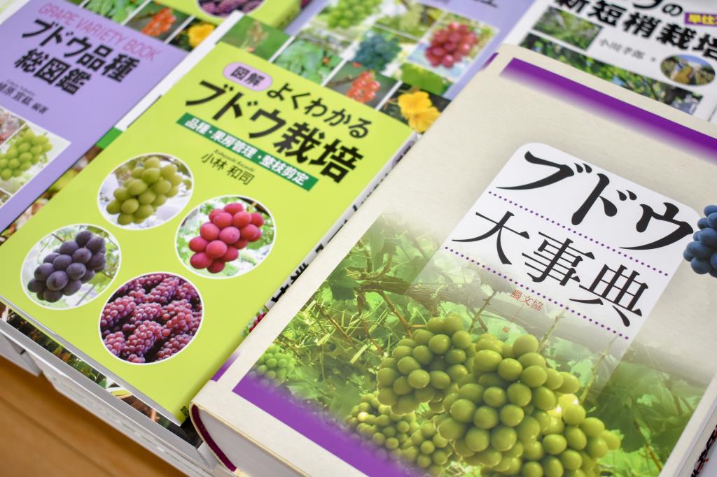 天真堂書店 塩山店 甲州市 ショップ 2