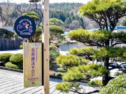 自然療法サロン FLOWER Relax&Healing 富士吉田市 エステ