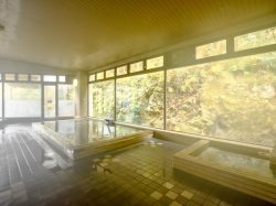 道志川温泉 紅椿の湯 道志村 遊ぶ学ぶ 2