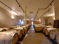 Maruki Winery/まるき葡萄酒株式会社 甲州市 遊ぶ学ぶ 3