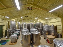 Maruki Winery/まるき葡萄酒株式会社 甲州市 遊ぶ学ぶ 4