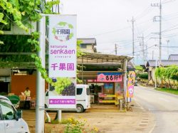 みはらしの千果園