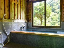 桃の木温泉 山和荘 南アルプス市 温泉 スパ 4