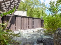 桃の木温泉 山和荘 南アルプス市 温泉 スパ 3