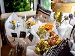 HANASAKA FACTORY FLOWERS 都留 花屋2