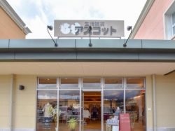 生活雑貨 アスコット 河口湖店