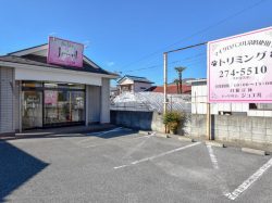 ドッグサロンジュエル 中央市 ペット トリミング 5