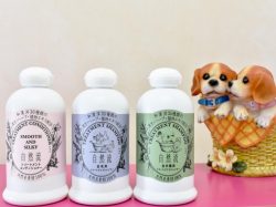 ドッグサロンジュエル 中央市 ペット トリミング 4
