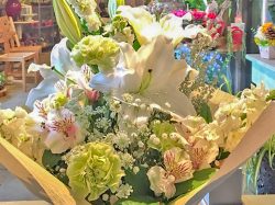 花工房エルソル医大店 中央市 花/ガーデニング 4