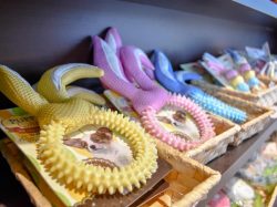 ILIO 河口湖店 富士河口湖町 ショップ 5
