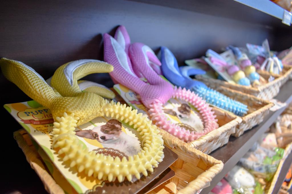 ILIO 河口湖店 富士河口湖町 ショップ 5