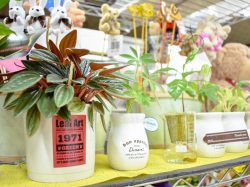 梶原生花店 富士河口湖町 花屋 5