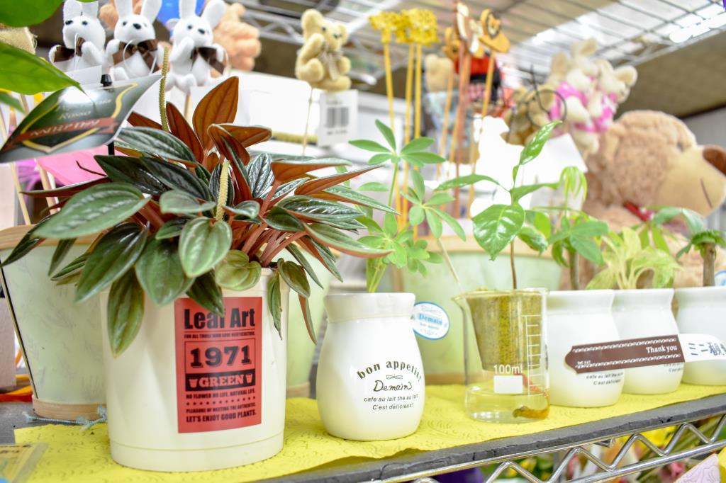 梶原生花店 富士河口湖町 花屋 5