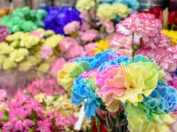梶原生花店 富士河口湖町 花屋 3
