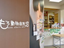 もろ動物病院 中央市 動物病院 2