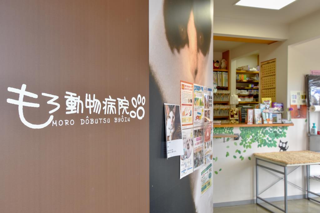 もろ動物病院 中央市 動物病院 2