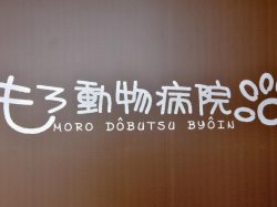 もろ動物病院 中央市 動物病院 3