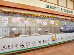 ペットフィールド 敷島店 甲斐市 2