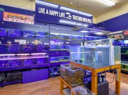 ペットフィールド 敷島店 甲斐市 3